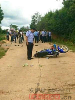 又在搞事情？雲南發生野象傷人事件