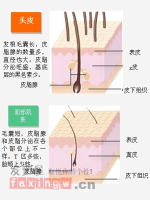 頭皮護理的基礎知識 你知道多少