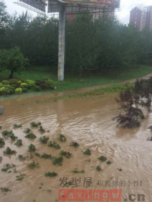 遼寧岫巖縣遭遇強降雨 已轉移上萬受災民眾